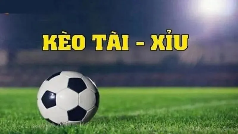 Điểm danh tỷ lệ cược Tài Xỉu hot cho người mới